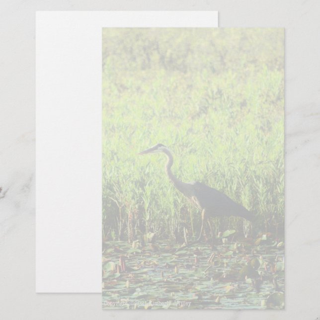 Heron 6449 (Vorne/Hinten)