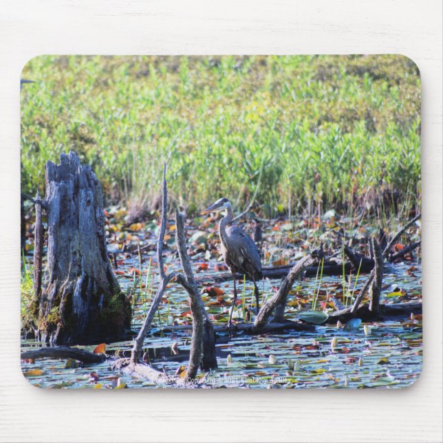 Heron 6467 mousepad (Vorne)