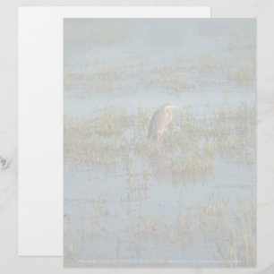 Heron 6937