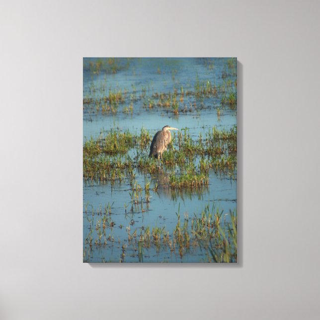 Heron 6937 leinwanddruck (Vorderseite)