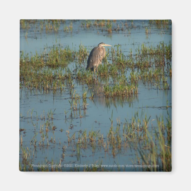 Heron 6937 magnet (Vorne)