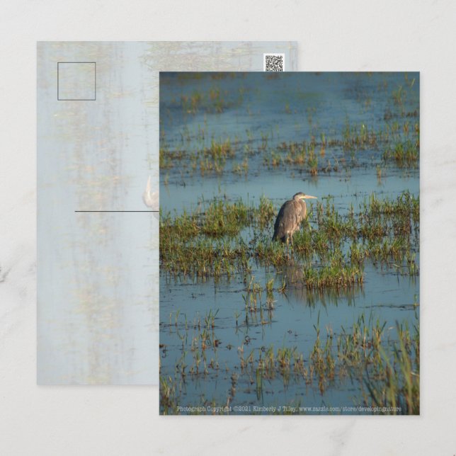 Heron 6937 postkarte (Vorne/Hinten)