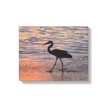 Heron am frühen Morgen Spaziergang