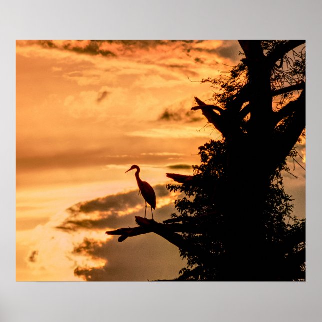 Heron at Sunset - James River - Art Poster (Vorne)