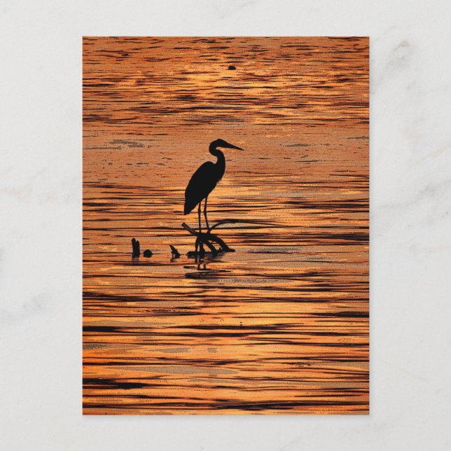 Heron bei Sunset Postkarte (Vorderseite)