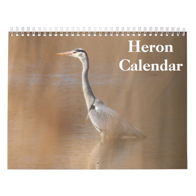 Heron Bird 2025 Kalender (Titelbild)