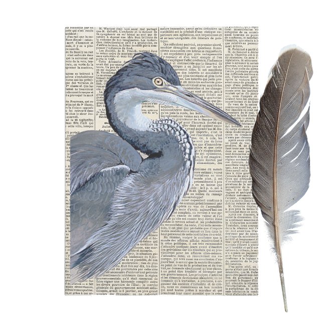 Heron Bird French Newspapier Vintag Decoupage Seidenpapier (Von Creator hochgeladen)