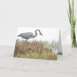 Heron Birds Wildlife Animals Wetlands Karte