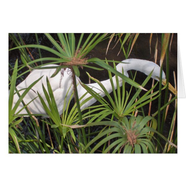 Heron Card (Vorderseite (Horizontal))