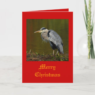 Heron Christmas Cards Feiertagskarte