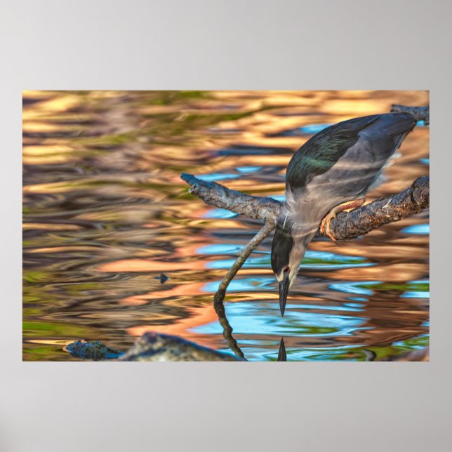 Heron Fischerei am See Poster (Vorne)