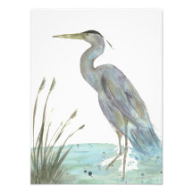 Heron