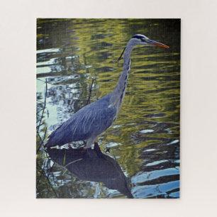 Heron Fütternd im Teich bei RHS Wisley, Vereinigte Puzzle