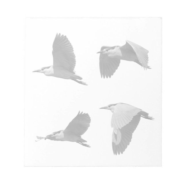 Heron in Flight Notepad Notizblock (Vorderseite)