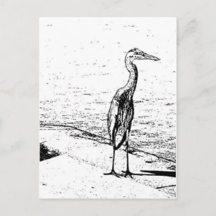 Heron In Ink Postkarte