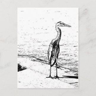 Heron In Ink Postkarte