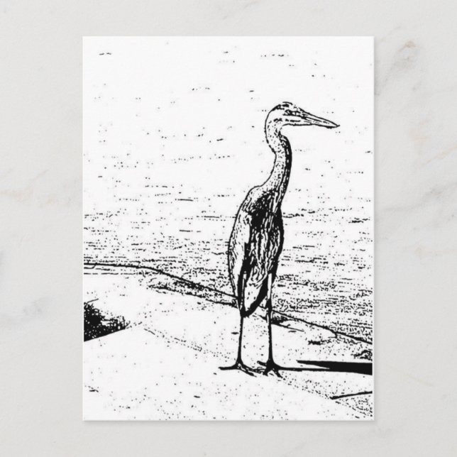 Heron In Ink Postkarte (Vorderseite)