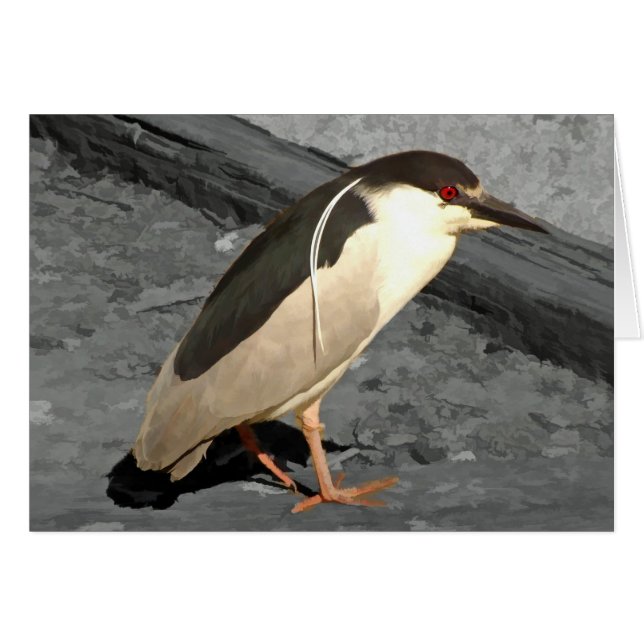 Heron - Karte (Vorderseite (Horizontal))