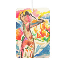 Heron nice autolufterfrischer