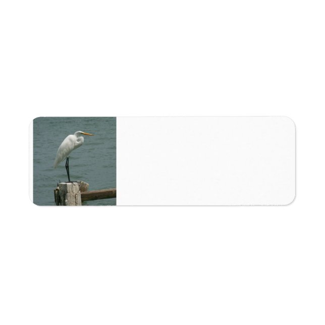 Heron on Piling (Vorne)