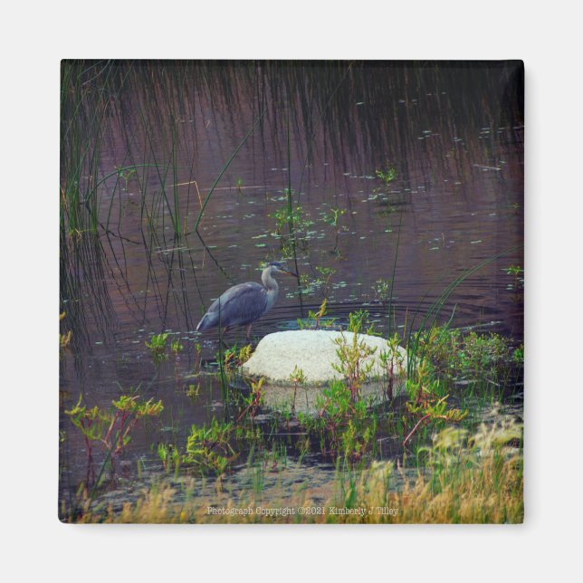 Heron P9687 Magnet (Vorne)