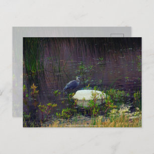 Heron P9687 Postkarte