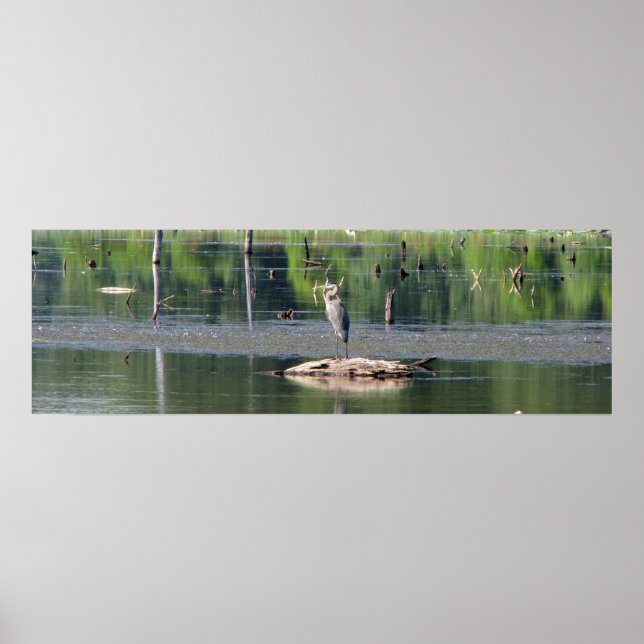 Heron Poster (Vorne)