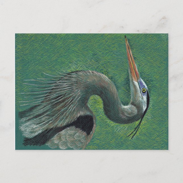 Heron Postkarte (Vorderseite)