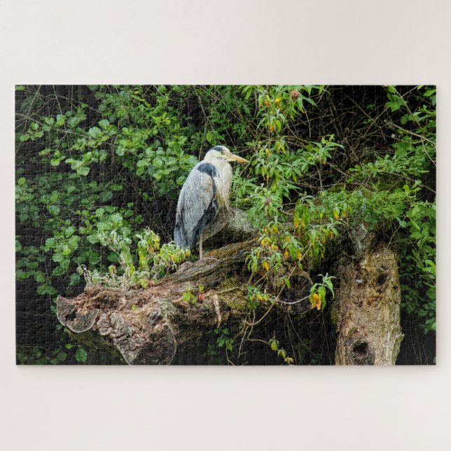 Heron. Roath Park Lake, Cardiff, Wales Puzzle (Horizontal)