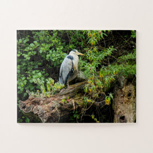 Heron. Roath Park Lake, Cardiff, Wales Puzzle