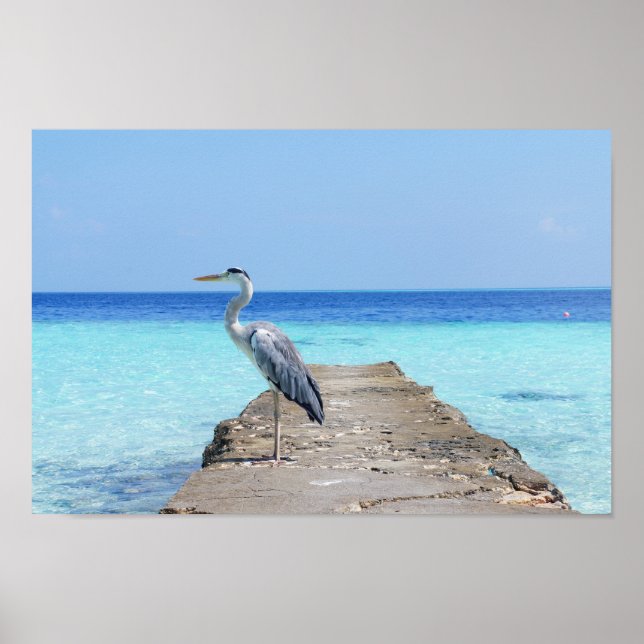 Heron Sea Bird Poster (Vorne)