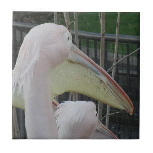 Heron Small (4,25" x 4,25") Keramik Foto Tile Fliese
