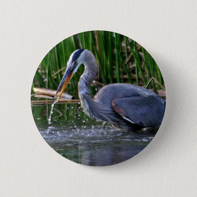 Heron Splash Button (Vorderseite)