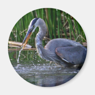 Heron Splash Magnet