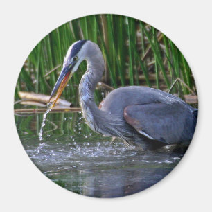 Heron Splash Magnet