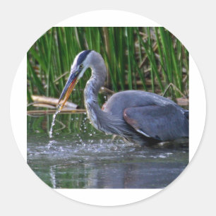 Heron Splash Runder Aufkleber