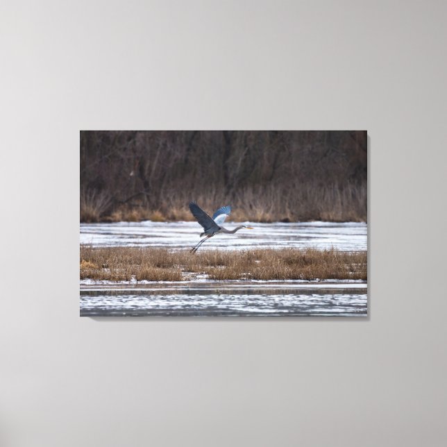 Heron Start Leinwanddruck (Vorderseite)
