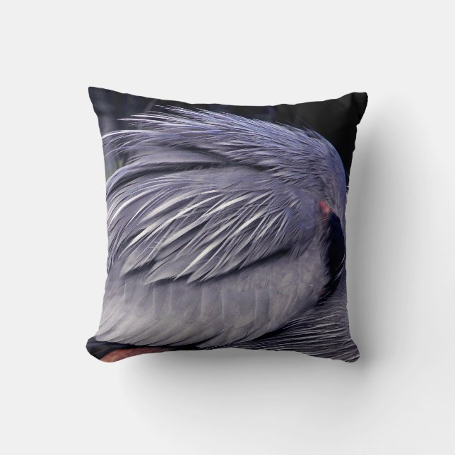 Heron Territory Kissen (Vorderseite)