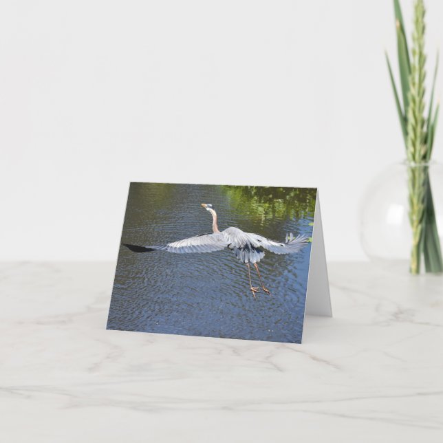 Heron über Wasser Nr. 4 - Blank Dankeskarte (Vorderseite)