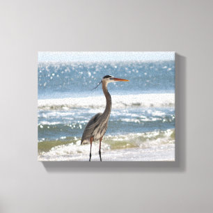 Heron vor dem Ozean Vollfarbe 8x10 Leinwanddruck