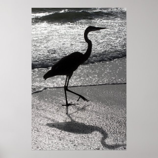 Heron Walking on Shore Poster (Vorne)