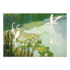 Herons im Sommer von Newell Convers Wyeth Fotodruck