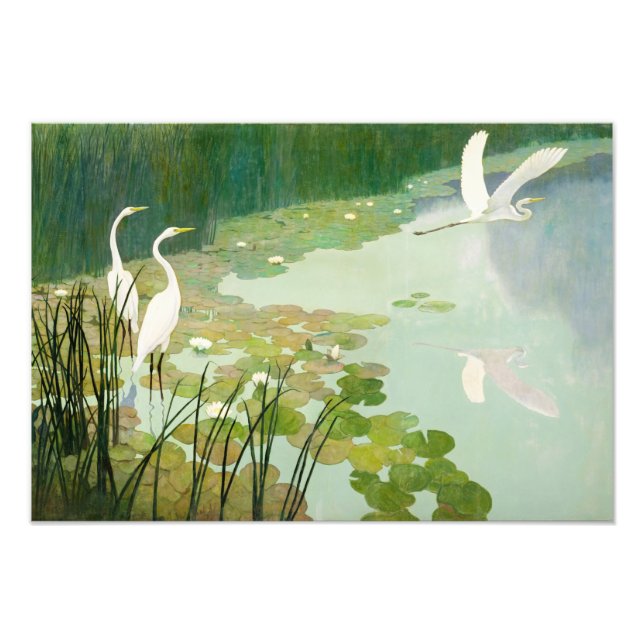 Herons im Sommer von Newell Convers Wyeth Fotodruck (Vorne)
