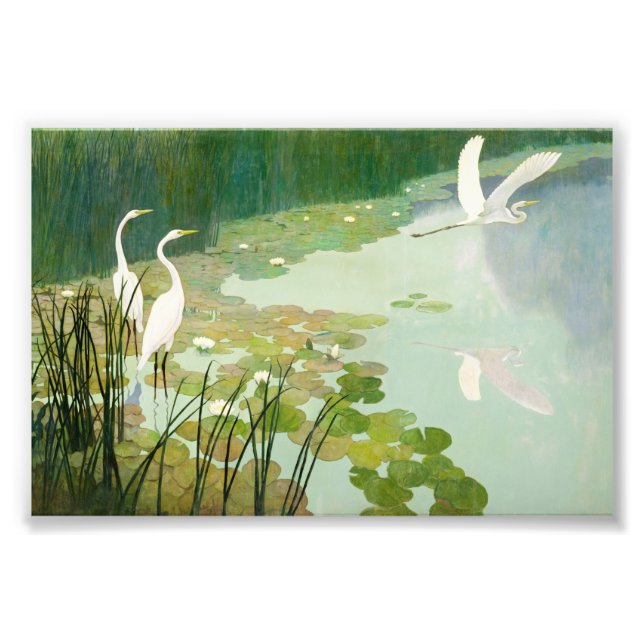 Herons im Sommer von Newell Convers Wyeth Fotodruck (Vorne)