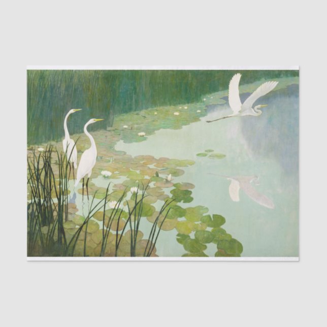 Herons im Sommer von Newell Convers Wyeth Seidenpapier (Vorderseite)