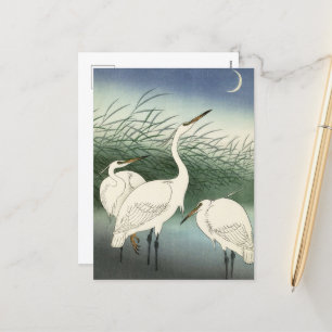 Herons in Shallow Water von Ohara Koson Feiertagspostkarte