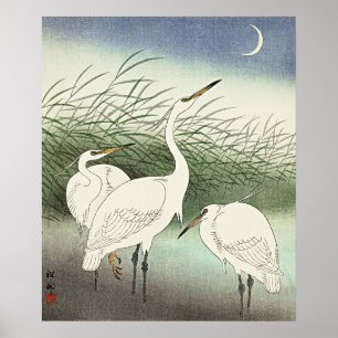 Herons in Shallow Water von Ohara Koson Poster