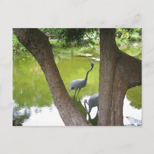 Herons Postkarte (Vorderseite)