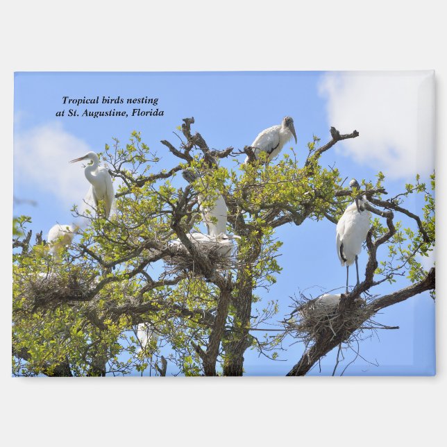 Herons und Holzstürme Magnet (Vorderseite)