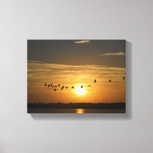 Heronvögel bei Sonnenuntergang Leinwanddruck